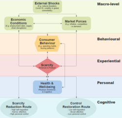 Figure 1: A Conceptual Model of Scarcity's Impact on Consumer Behaviour and Well-being.