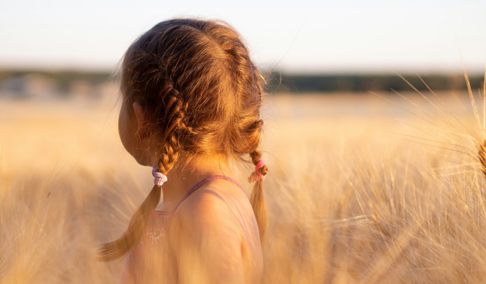 Little girl stood in wheat field