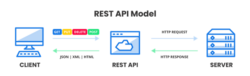 Rest API model